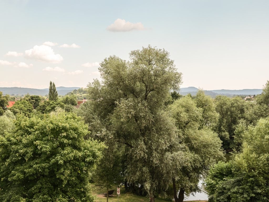 Grüne Bäume und Flusslandschaft am Neckar in Nürtingen mit Blick auf die Hügel – Naturkulisse beim Belsers Hotel.